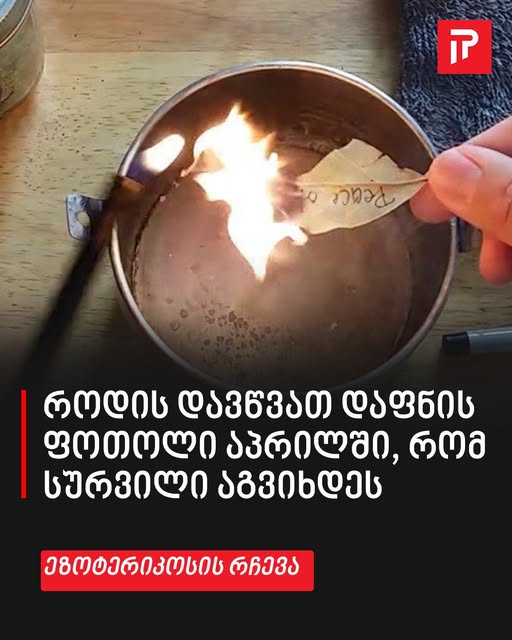 როდის დავწვათ დაფნის ფოთოლი აპრილში, რომ სურვილი აგვიხდეს – ეზოტერიკოსის სასარგებლო რჩევა