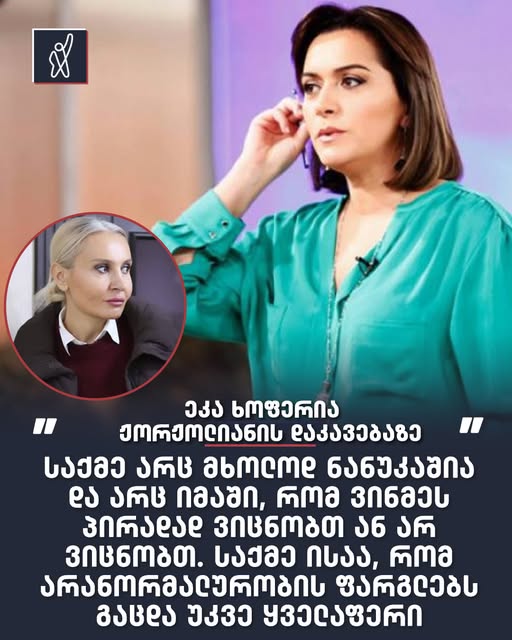 “საქმე არც მხოლოდ ნანუკაშია, და არც იმაში, რომ ვინმეს პირადად ვიცნობთ ან არ ვიცნობთ საქმე ისაა , რომ არანორმალურობის ფარგლებს გაცდა უკვე ყველაფერი ….”