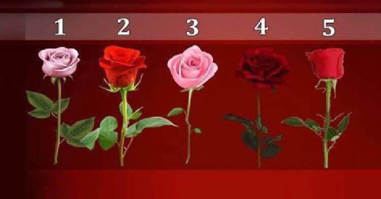 ტესტი: გვითხარი რომელ ვარდს ირჩევ და ჩვენ გეტყვით როდის აგიხდება სურვილები ჯერ დაწერე ციფრი და შემდეგ