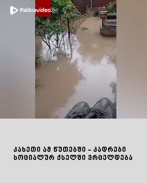 კახეთი ამ წუთებში – კადრები სოციალურ ქსელში ვრცელდება